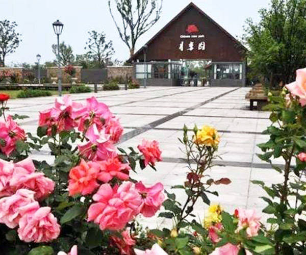 苏州团建目的地推荐：历史与现代交织，团队共筑美好记忆