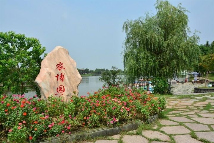 拓展训练对企业员工成长的推动作用