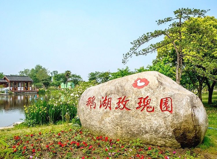 苏州拓展中的高效沟通技巧培养